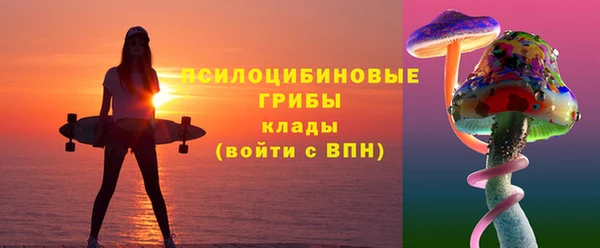 мяу мяу мука Горно-Алтайск