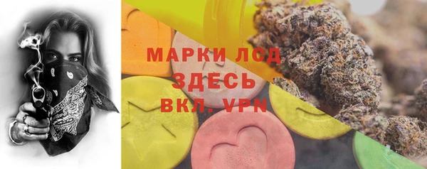мяу мяу мука Горно-Алтайск