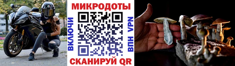 Галлюциногенные грибы MAGIC MUSHROOMS  Полевской 